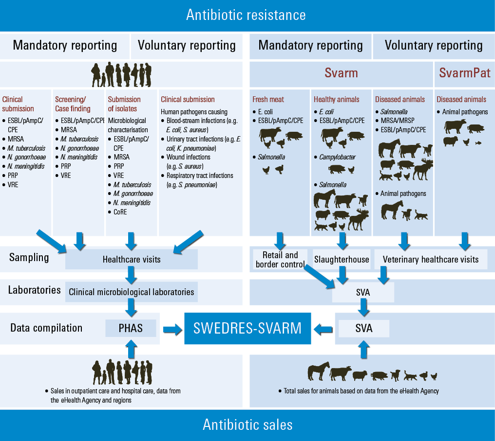 Schematic view of antimicrobial sales and resistance monitored in Sweden 2025.